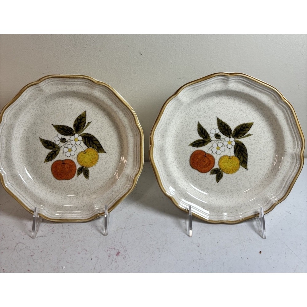MIKASA Garden Club DELIGHT 8" Salad Plates  Japan Set Of 2 EUC